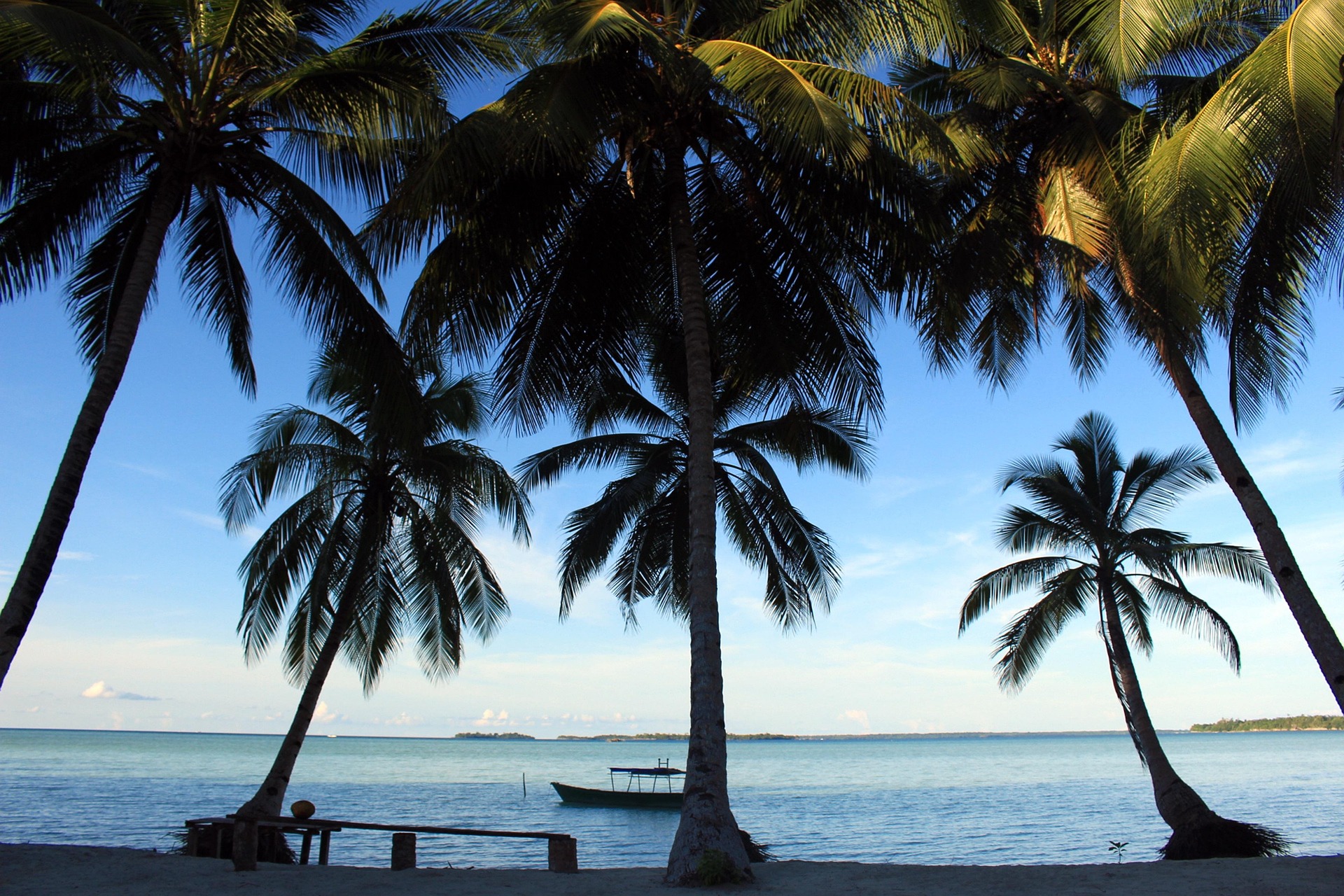 Strand mit Palmen