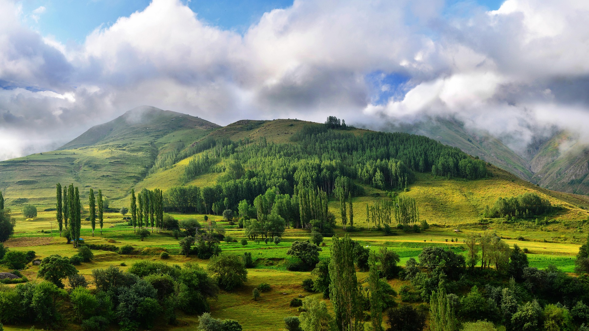 Grünes Tal in der Toscana
